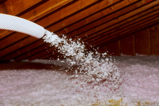 Insulation Contractors for Homes